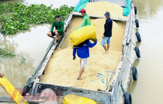 Để “chiếc bánh nông sản” ngày một lớn thêm