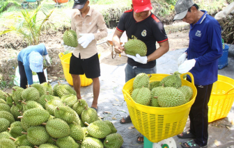 Bán cái thị trường cần chứ không phải bán cái mình có