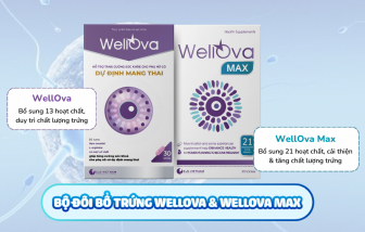 Bộ đôi bổ trứng WellOva và WellOva Max nâng cao sức khỏe sinh sản