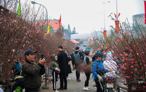 Miền Bắc trời lạnh, miền Nam nguy cơ ngập úng dịp tết Ất Tỵ 2025
