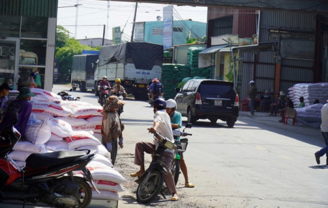 Nhiều người đổ xô đi mua gạo dự trữ