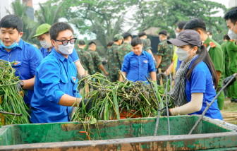 Thành phố tôi rất trẻ