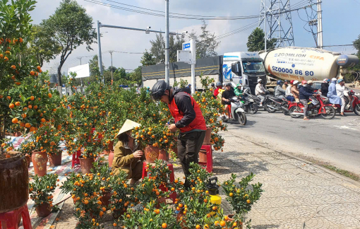 Đà Nẵng: Vắng người mua, người bán hoa tết như "ngồi trên đống lửa"