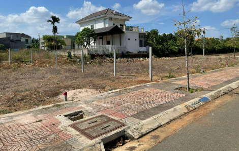 Đất nền năm 2025 sẽ tăng mạnh?