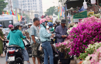 Chợ hoa "Trên bến dưới thuyền" hút khách ngày tết