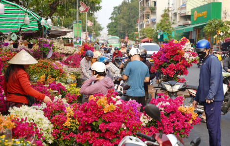 Thuyền ghe tấp nập, người dân nô nức đến chợ hoa 'trên bến dưới thuyền'
