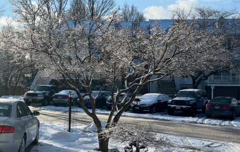 Cái tết đầu tiên xa quê