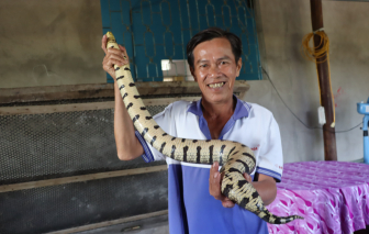 Năm Tỵ kể chuyện làm giàu từ nuôi rắn ở Cà Mau