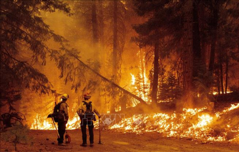 California khống chế hoàn toàn các đám cháy rừng sau hơn 3 tuần bị tàn phá