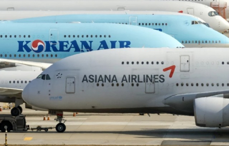 Sau sự cố, lượng máy bay được khai thác tại Hàn Quốc vẫn cao kỷ lục