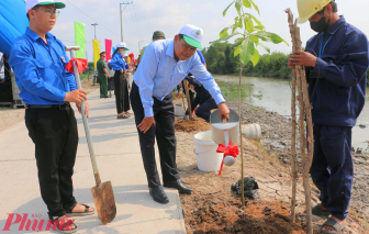 Năm 2025, tỉnh An Giang phấn đấu trồng khoảng 3,1 triệu cây xanh