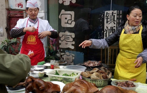 40% trang trại chó ở Hàn Quốc đóng cửa khi có luật cấm ăn thịt chó