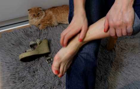 Một bệnh viện điều trị 30.000 trường hợp mắc giun đũa chó, mèo trong năm 2024