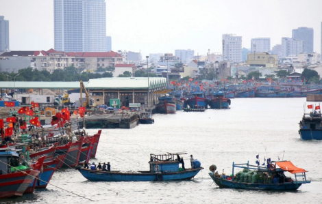 Đề nghị tàu thuyền từ Bình Định đến Kiên Giang chủ động ứng phó áp thấp nhiệt đới