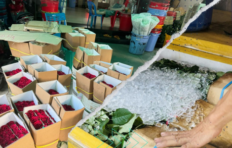 Ngày Valentine đừng để ‘sập bẫy’ hoa đông lạnh