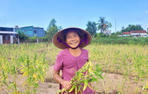 Ngoại vẫn chắt chiu những hạt mè