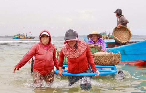 Lộc biển dày đặc, ngư dân Quảng Ngãi kiếm tiền triệu những ngày đầu năm