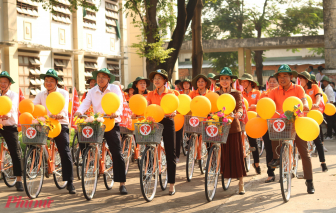 TPHCM ban hành kế hoạch triển khai chiến lược, chương trình quốc gia về bình đẳng giới