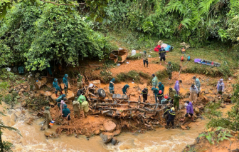 Tin tức ngày 25/2: Xóa tên bão Yagi, Trà Mi