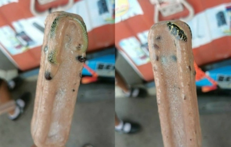 Hoảng hồn khi phát hiện rắn đông cứng trong que kem