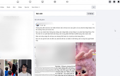 Streamer ViruSs ngừng bán Baby Three vì cài cắm ‘đường lưỡi bò’