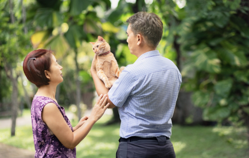 Tại sao vợ chồng ít nói chuyện với nhau?