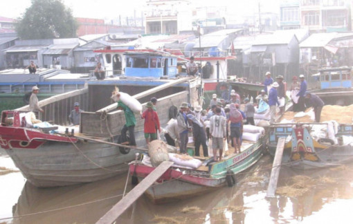 Giá gạo xuống, thay vì bán tháo cần thu mua tích trữ chờ giá lên