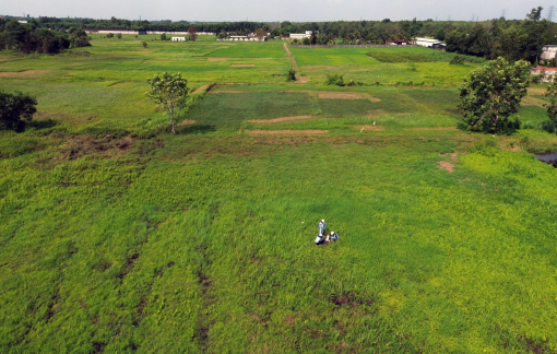 Tháng 7/2025 sẽ triển khai bồi thường, giải phóng mặt bằng cao tốc TPHCM - Mộc Bài