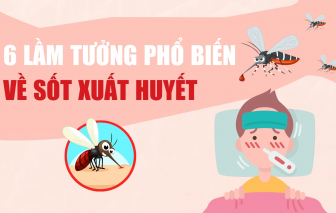 Infographic: 6 lầm tưởng phổ biến về sốt xuất huyết