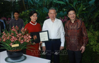 Singapore đặt tên loài hoa mới là “Papilionanda Tô Lâm Linh Ly”