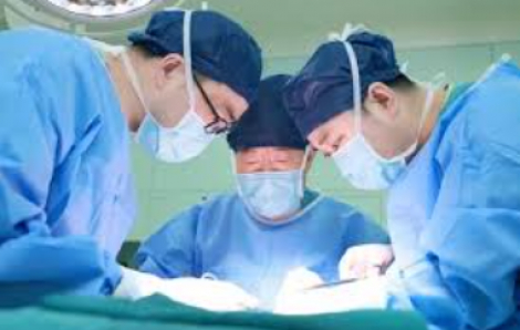 Trung Quốc ghép thận lợn cho bệnh nhân mắc bệnh thận