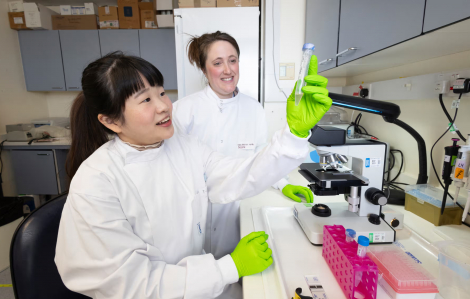 'Tái sinh' các loài sắp tuyệt chủng bằng… chất thải động vật