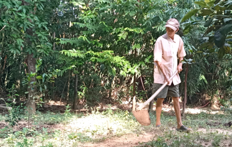 Về quê sống với mẹ cha