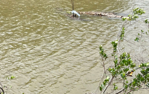 Một thanh niên tử vong sau khi nhảy xuống sông vì bị người lạ rượt đuổi