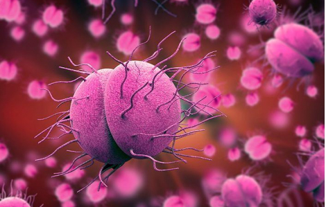 Hơn 70 người ở Thái Bình phải theo dõi do tiếp xúc gần với bệnh nhân viêm não mô cầu