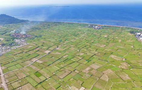 Chấp thuận chuyển nhượng hơn 27 ngàn mét vuông đất nông nghiệp ở Lý Sơn để làm tổ hợp du lịch hơn 300 tỉ