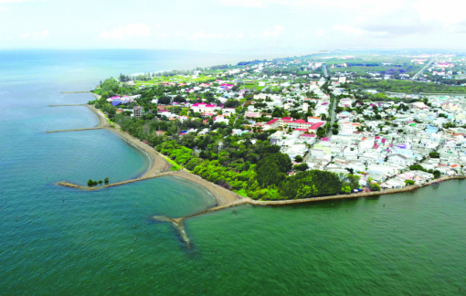 Đề xuất đầu mối hướng dẫn nhà đầu tư thủ tục liên quan tuyến metro quận 7 nối Cần Giờ