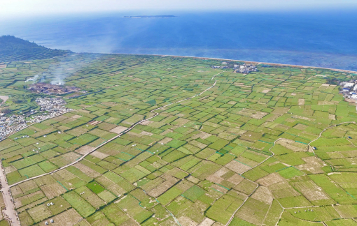 Chấp thuận chuyển nhượng hơn 27 ngàn mét vuông đất nông nghiệp ở Lý Sơn để làm tổ hợp du lịch hơn 300 tỉ