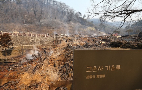 Nhiều di sản bị hư hại do cháy rừng ở Hàn Quốc