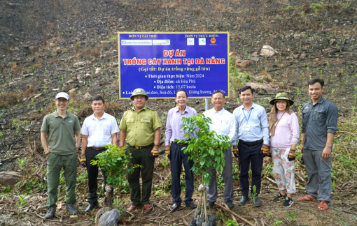 Phục hồi lá phổi xanh cho miền Trung
