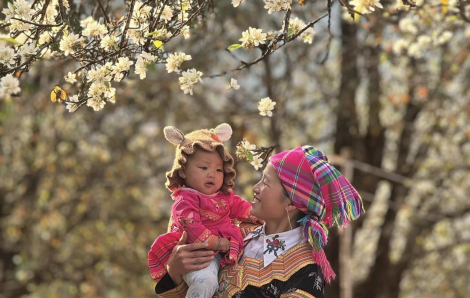 Mùa hoa sơn tra ở bản làng cao nhất Việt Nam