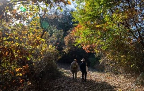 Chương trình du lịch Đường mòn hòa bình DMZ mở cửa từ 18/4