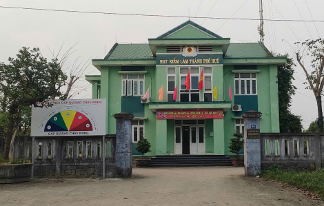 UBND TP Huế chỉ đạo việc cán bộ kiểm lâm bị trễ 3 tháng lương