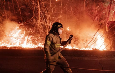 Cháy rừng kỷ lục ở Hàn Quốc có thể xuất phát từ việc quét dọn mộ