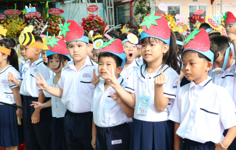 Các bước rà soát dữ liệu tuyển sinh đầu cấp tại TPHCM