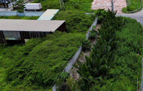 Từ 1/4, đất nông nghiệp được thí điểm chuyển nhượng làm dự án nhà ở thương mại