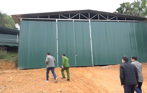 Phú Thọ: Xây nhà xưởng “khủng”, trồng nhiều cây để mong được bồi thường