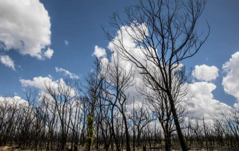 Người dân sẽ nghèo hơn 40% nếu thế giới nóng lên 4 độ C