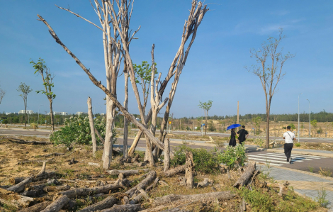 Thành lập đoàn kiểm tra liên ngành dự án Nhơn Hội New City của Phát Đạt