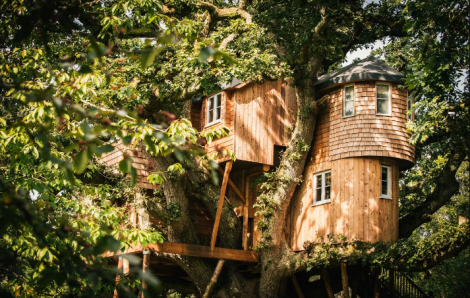 Kỳ nghỉ đặc biệt với ngôi nhà trên cây cực lãng mạn ở Anh